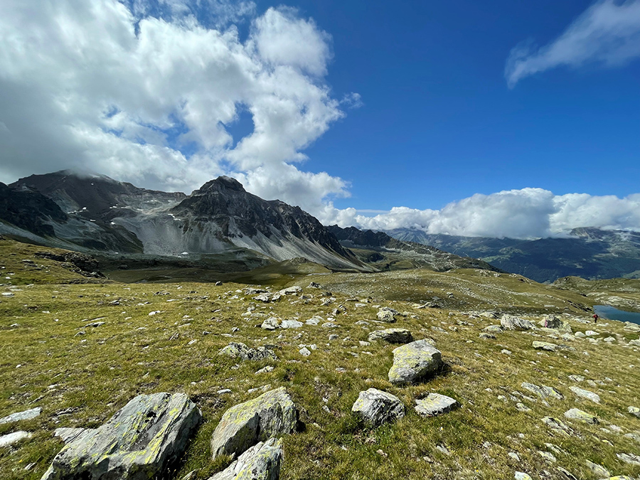 Meidpass